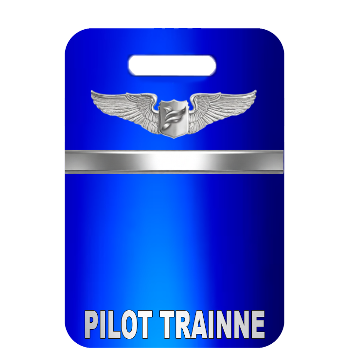 Pilot Trainee